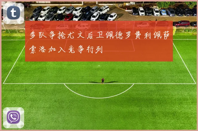 多队争抢尤文后卫佩德罗费利佩萨索洛加入竞争行列